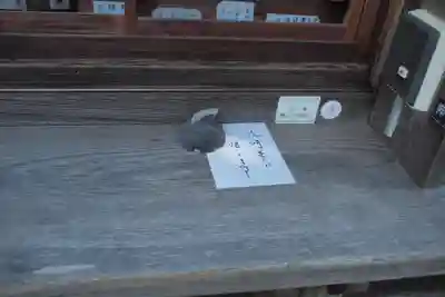 若狭姫神社（若狭彦神社下社）のその他建物