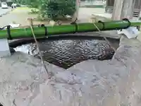 佐太神社の手水舎