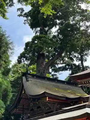 鹿島神宮(茨城県)