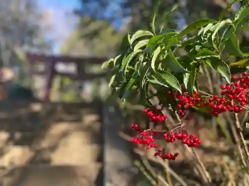 十二天神社(神奈川県)