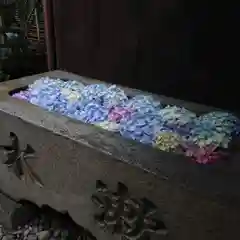 菅生神社の手水