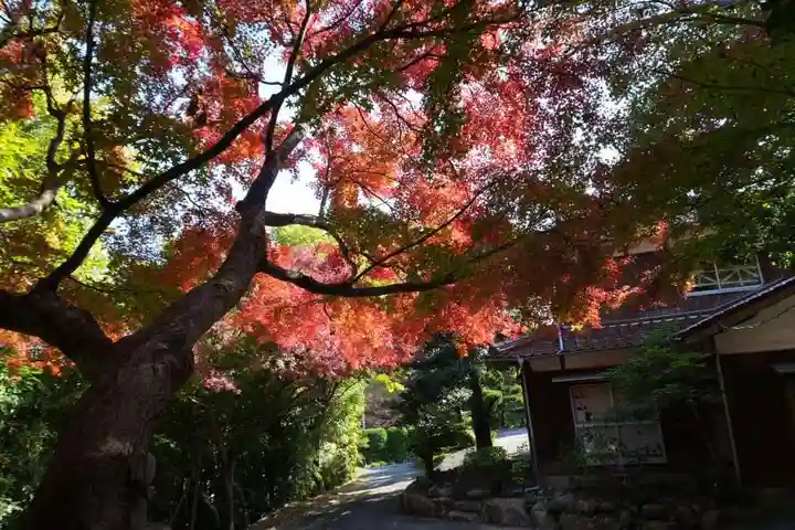 智光院(山口県)