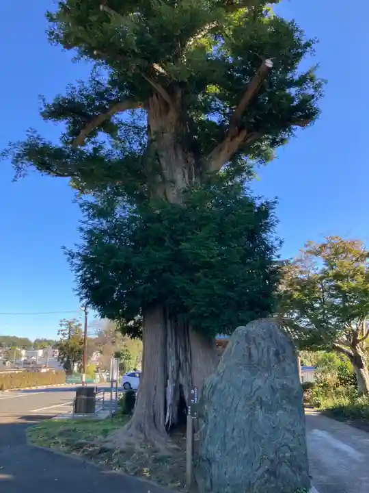 福泉寺(神奈川県)