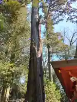 一言主神社(茨城県)