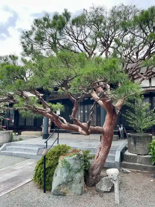 妙輪寺(神奈川県)