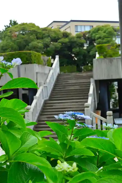 伊勢山皇大神宮(神奈川県)