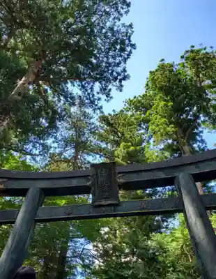 日光東照宮(栃木県)