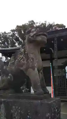 登渡神社の狛犬