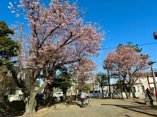 苗穂神社(北海道)
