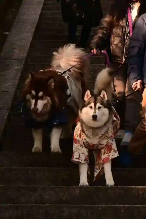 東雲神社(愛媛県)