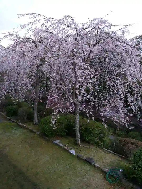 石山寺(滋賀県)