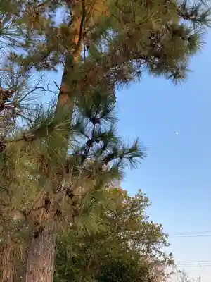 御厨神社(兵庫県)