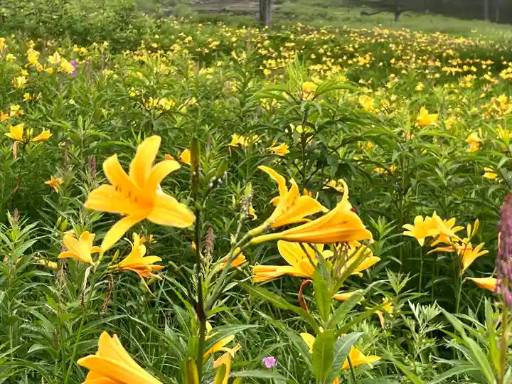 山の神神社(長野県)