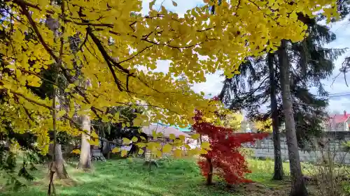 東川神社の自然