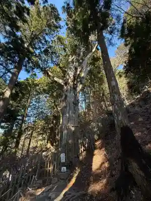 玉置神社(奈良県)