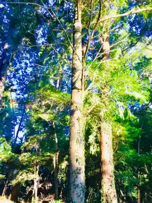 阿弥神社の自然