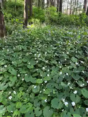 蛇木八坂神社(栃木県)