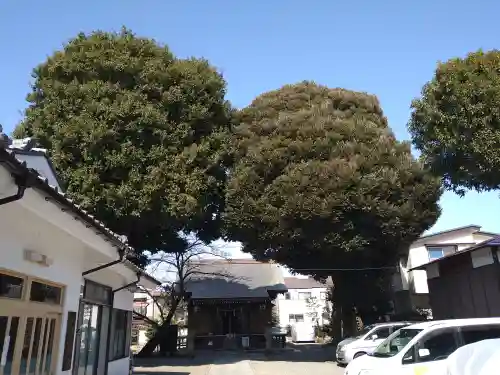 天沼熊野神社(東京都)