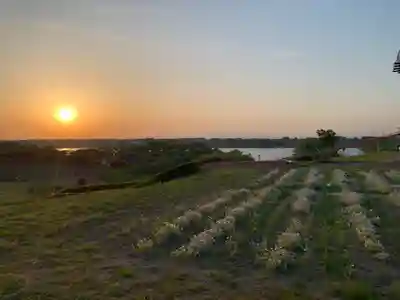 津島本宮社(宮城県)