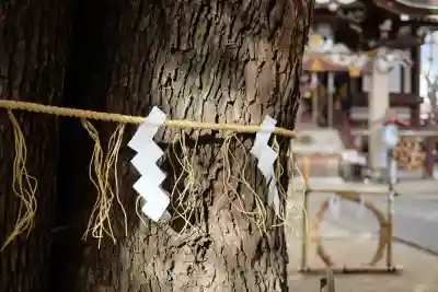 諏訪神社の{uncategorized: "未分類", other: "その他", undefined: "問題あり", building: "その他建物", grave: "お墓", sacred_gate: "鳥居", guardian: "狛犬", statue: "像", buddha: "仏像", history: "歴史", nature: "自然", garden: "庭園", animal: "動物", pagoda: "塔", temizu: "手水舎", mountain_gate: "山門・神門", sanctuary: "本殿・本堂", subordinate: "末社・摂社", art: "芸術", scenery: "景色", jizo: "地蔵", ema: "絵馬", goshuin: "御朱印", omikuji: "おみくじ", items: "授与品その他", amulet: "お守り", goshuincho: "御朱印帳", eats: "食事", festival: "お祭り", votive_dance: "神楽", shichigosan: "七五三参", wedding: "結婚式", experience: "体験その他", initially: "初詣", around: "周辺", anti_infection: "感染症対策"}