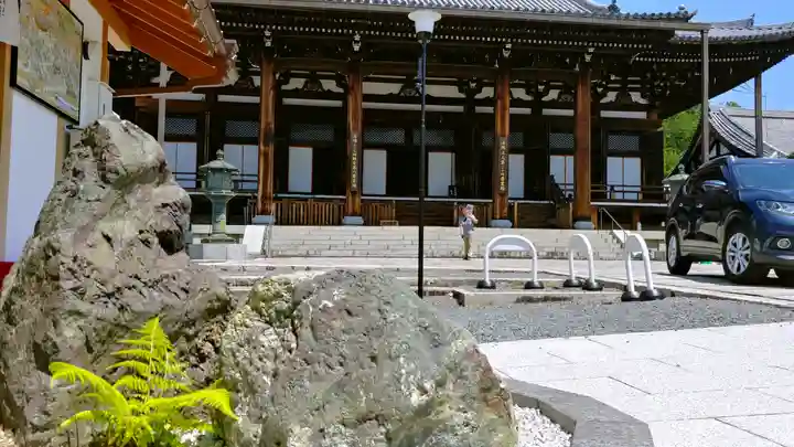 くろ谷 金戒光明寺の本殿・本堂