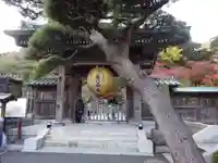 長谷寺の山門・神門