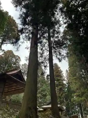 大宮温泉神社(栃木県)