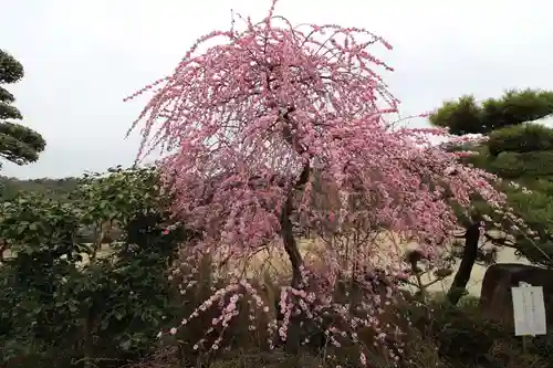 中山寺の庭園