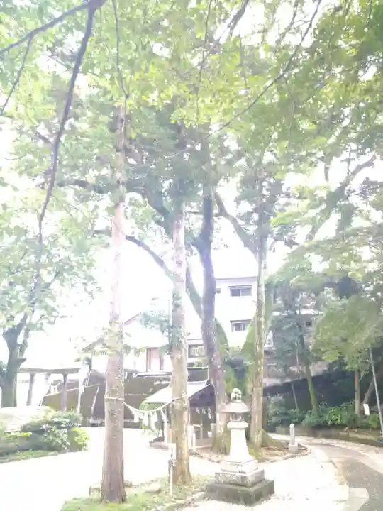 若一王子宮の自然