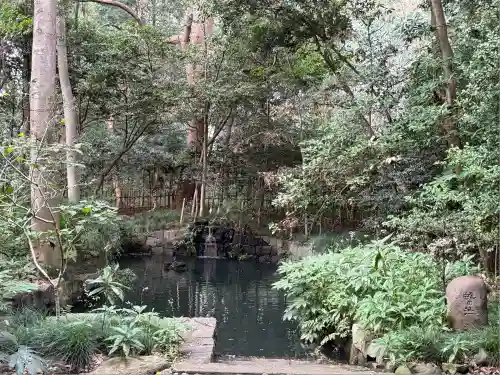 武蔵一宮氷川神社(埼玉県)