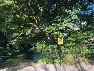 富士山本宮浅間大社(静岡県)