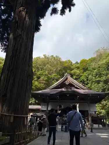 戸隠神社中社(長野県)