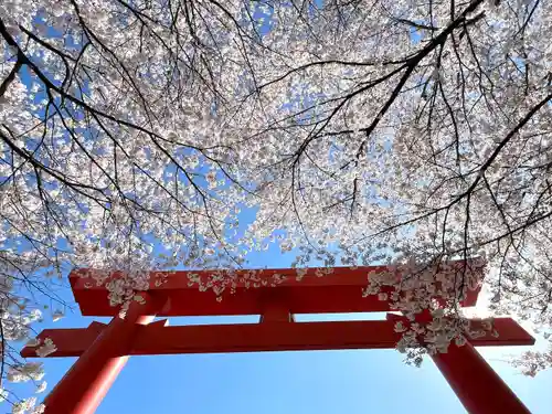 子檀嶺神社の鳥居