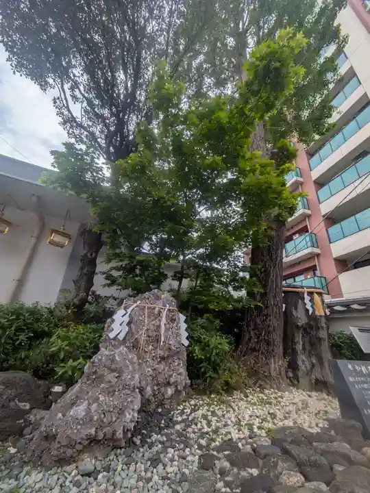 神田神社(神田明神)の自然