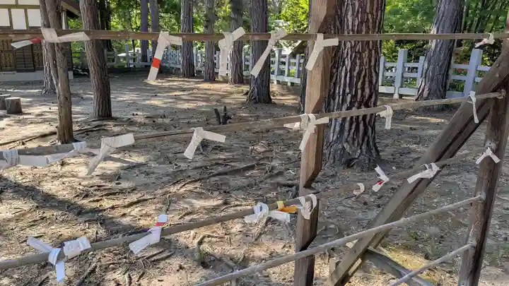 上川神社のおみくじ