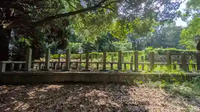 仲恭天皇　九條陵(京都府)