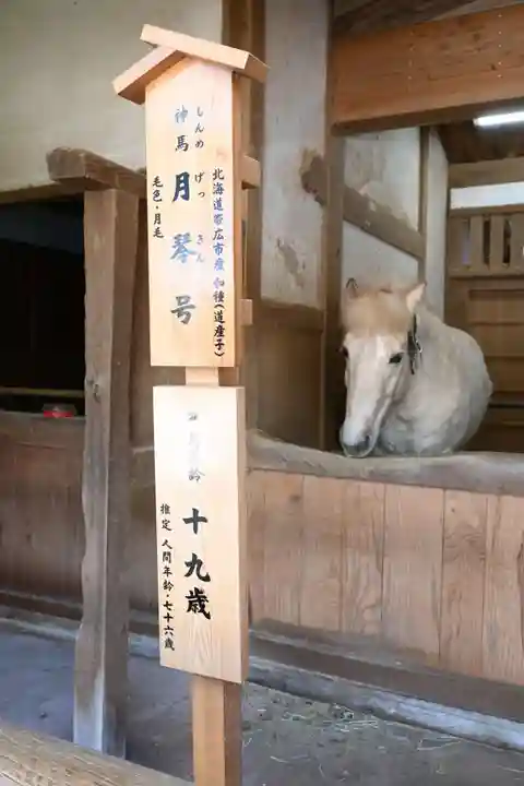 金刀比羅宮(香川県)