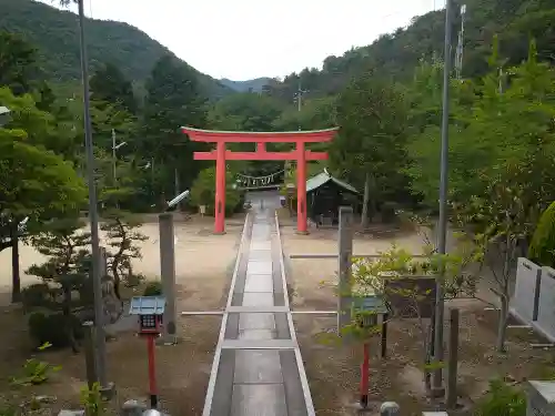 木華佐久耶比咩神社の鳥居