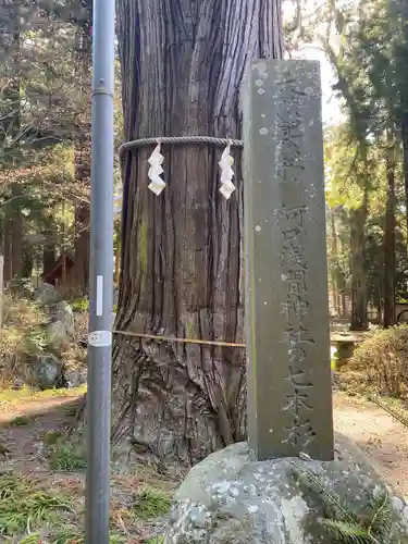 河口浅間神社(山梨県)
