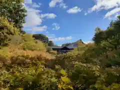 東福禅寺（東福寺）(京都府)