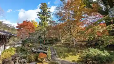 十輪寺(京都府)
