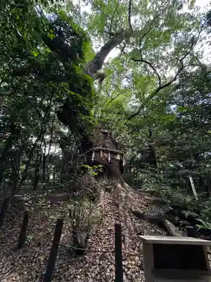 熱田神宮(愛知県)