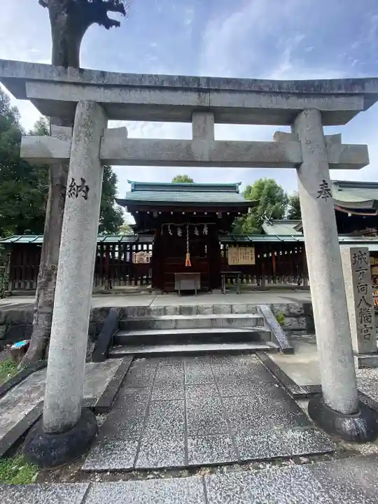 難波大社 生國魂神社(大阪府)