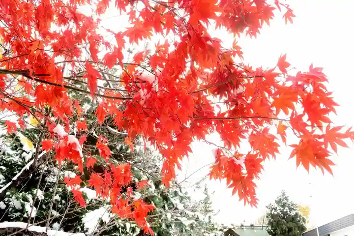 烈々布神社(北海道)