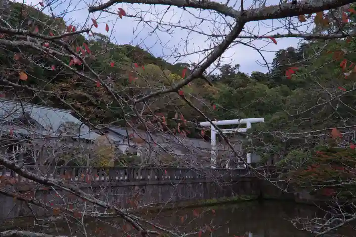 安房神社(千葉県)