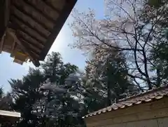 滑川神社 - 仕事と子どもの守り神(福島県)