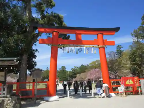 賀茂別雷神社（上賀茂神社）の鳥居