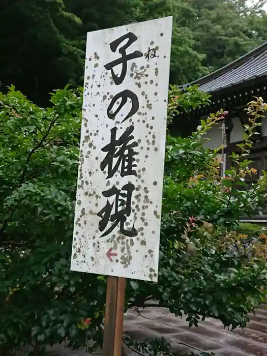 萬松寺の建物その他