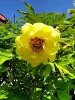 金福寺(福島県)