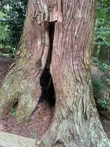 日枝神社(栃木県)